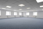 Tarzaliskylight-replacements-2.jpg; ?>